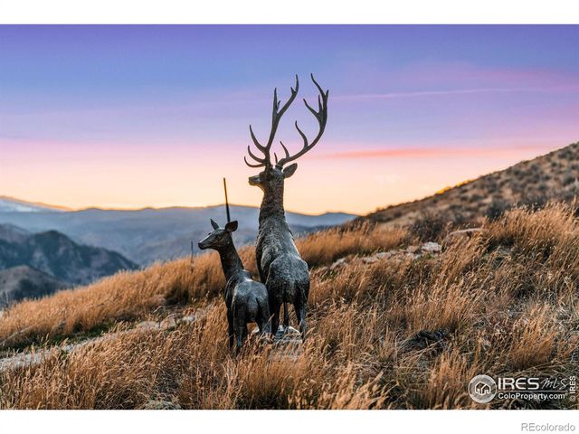 113 Purple Mountain Court, Livermore, CO 80536