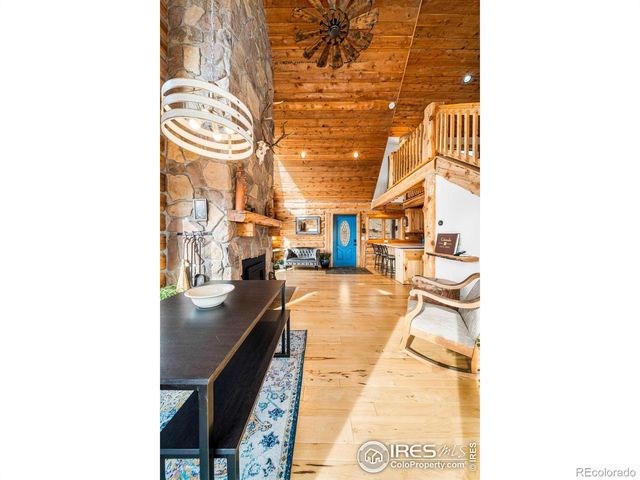 113 Purple Mountain Court, Livermore, CO 80536