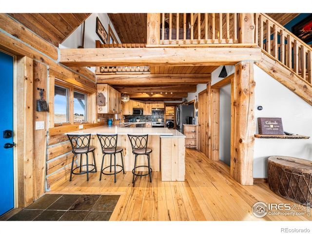 113 Purple Mountain Court, Livermore, CO 80536