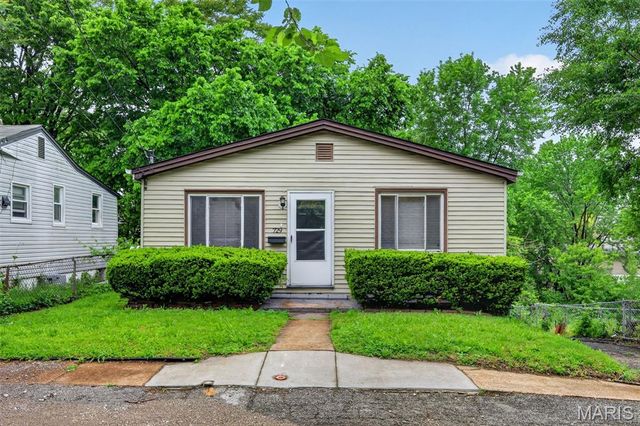 729 Dammert Avenue, St Louis, MO 63125