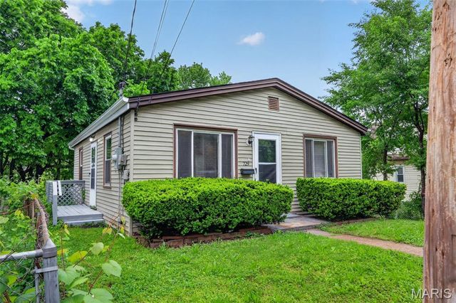 729 Dammert Avenue, St Louis, MO 63125
