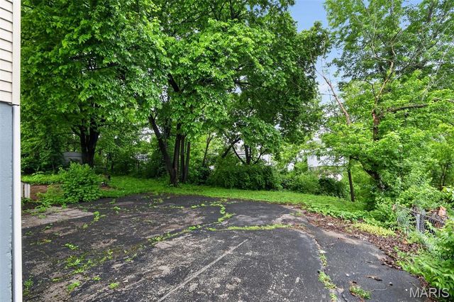 729 Dammert Avenue, St Louis, MO 63125