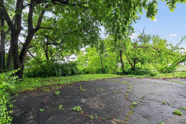 729 Dammert Avenue, St Louis, MO 63125