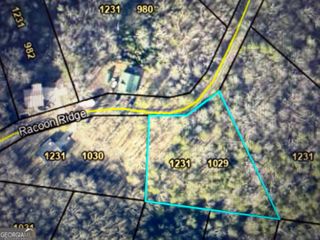 1029 Raccoon Ridge Road, Ranger, GA 30734