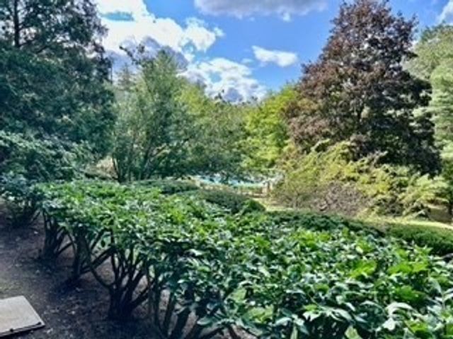 40 Village Rd 108A, Middleton, MA 01949