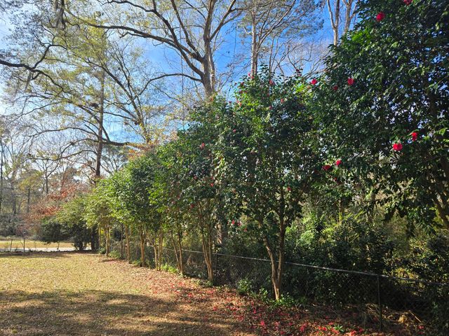 3538 Walter Drive, Johns Island, SC 29455