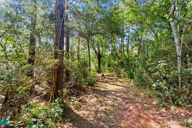 1500 Fm 517 Rd E, Dickinson, TX 77539