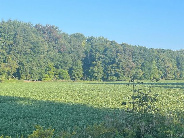 01 Howland Road, Almont, MI 48003