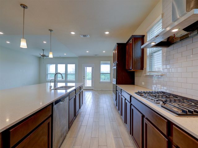 11007 Strawberry Roan DR, Manor, TX 78653