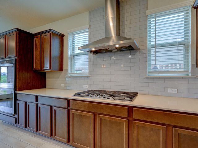 11007 Strawberry Roan DR, Manor, TX 78653