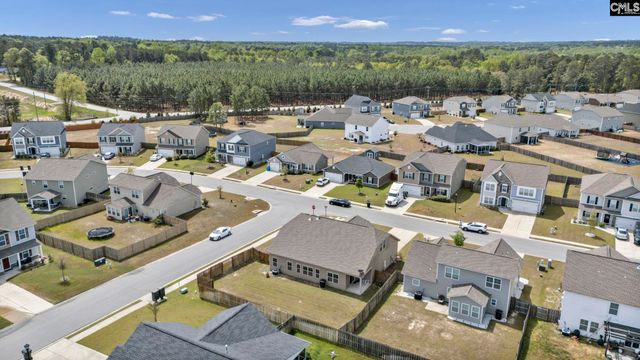 76 Texas Black Way, Elgin, SC 29045