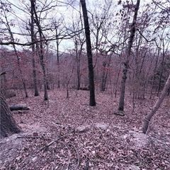 Lot 12 & 13 Hoyer Lane, Bella Vista, AR 72714