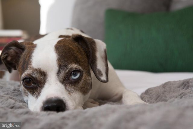 121 N 2ND ST #214, Philadelphia, PA 19106