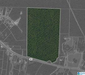 0 HIGHWAY 81, Vincent, AL 35178