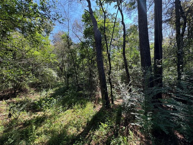 7795-00-10300 Assessor's Parcel Number 7795-00-10300, New Caney, TX 77357