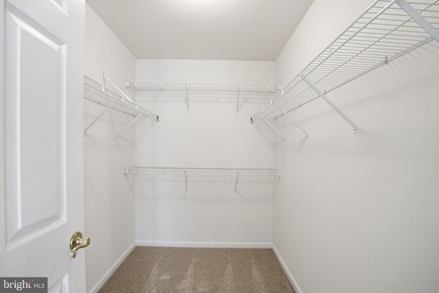 3514 LAME BEAVER CT, Ellicott City, MD 21042