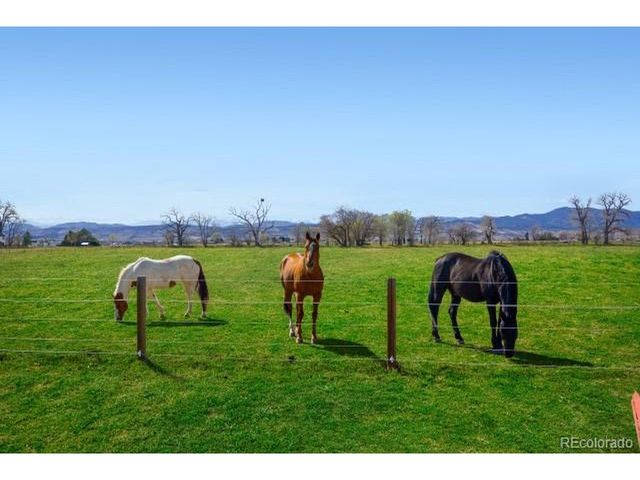 560 Talons Reach Run, Berthoud, CO 80513