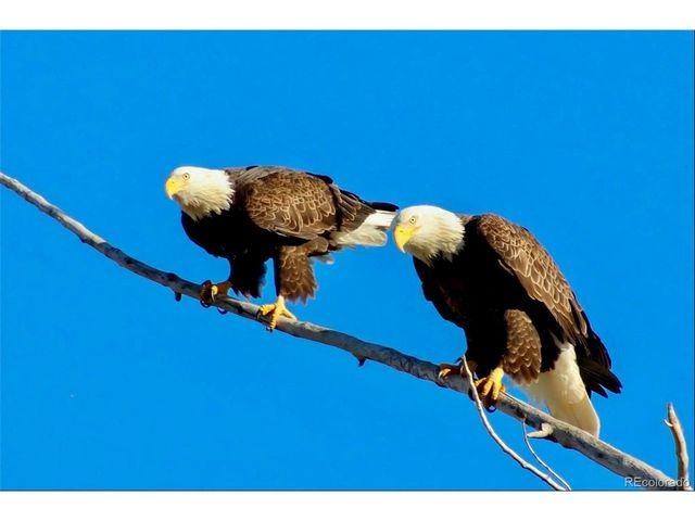 560 Talons Reach Run, Berthoud, CO 80513