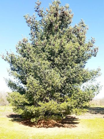 N3992 SHAMROCK CIRCLE, Appleton, WI 54913