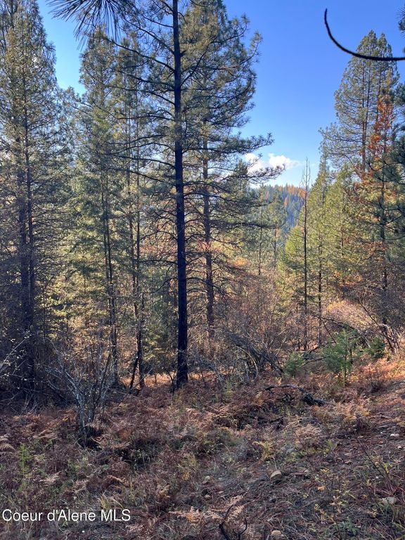 20.0acs French Gulch Rd, Kingston, ID 83839