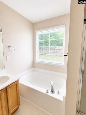 367 Marsh Deer Way, Columbia, SC 29229