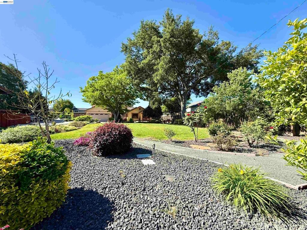 Image 3 of property listing at 4429 James Ave, Castro Valley, CA 94546