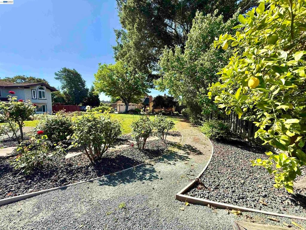 Image 4 of property listing at 4429 James Ave, Castro Valley, CA 94546