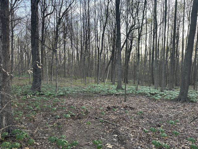 132 Fleming Rd, Portland, TN 37148