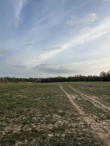 132 Fleming Rd, Portland, TN 37148