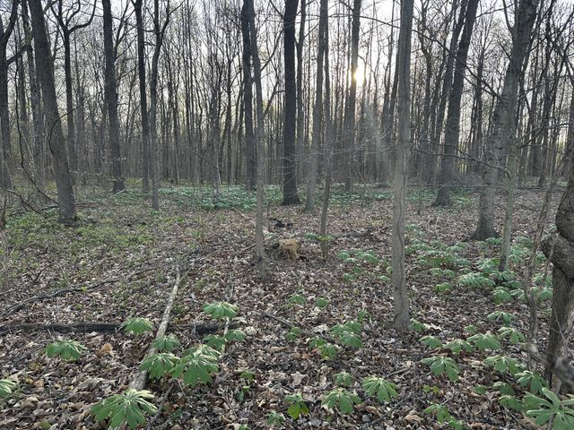 132 Fleming Rd, Portland, TN 37148