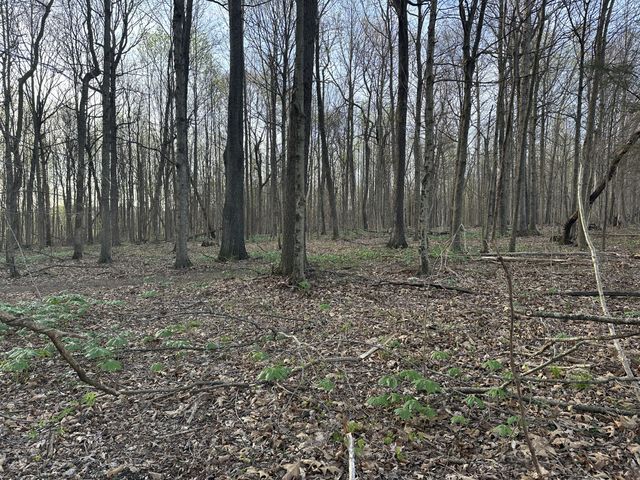 132 Fleming Rd, Portland, TN 37148