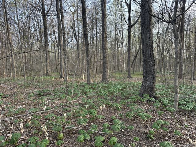 132 Fleming Rd, Portland, TN 37148