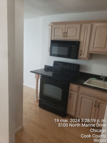 5100 N Marine Drive 10C, Chicago, IL 60640