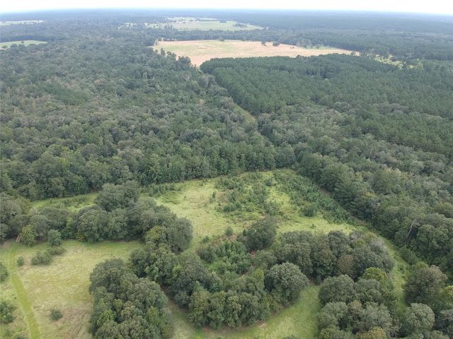 Lot 364 Madison Lake, Hillister, TX 77624