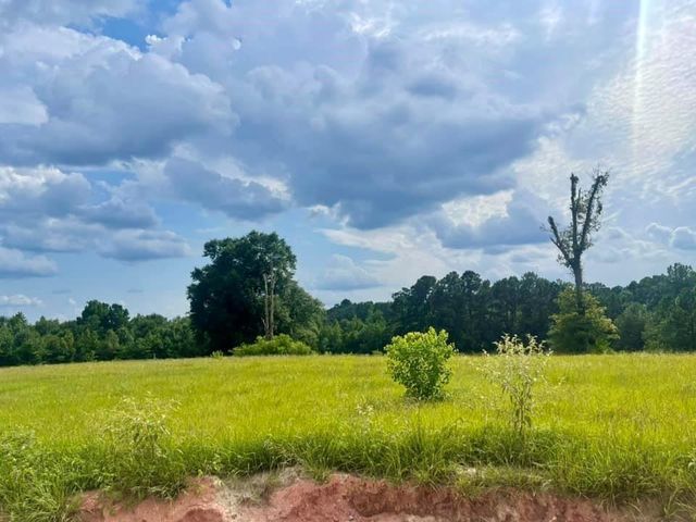 Lot 364 Madison Lake, Hillister, TX 77624