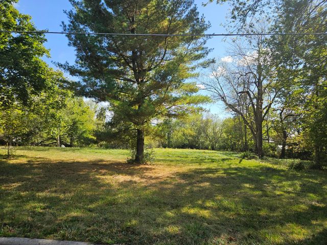 0 E High Street, Tract 1, Ostrander, OH 43061