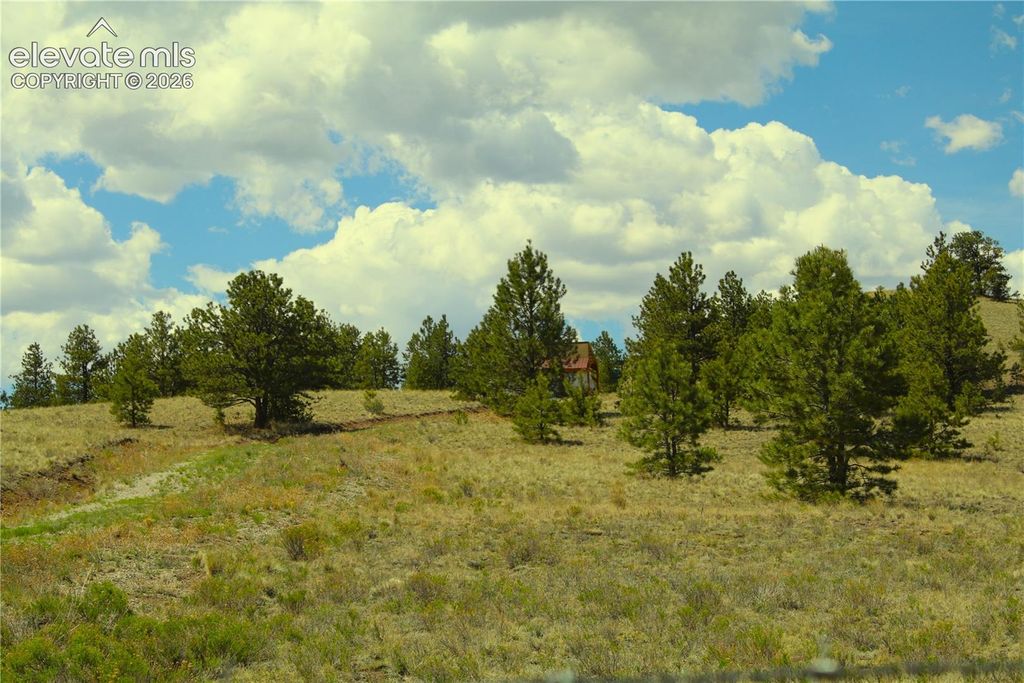 60 Hill Road, Hartsel, CO 80449 — exterior