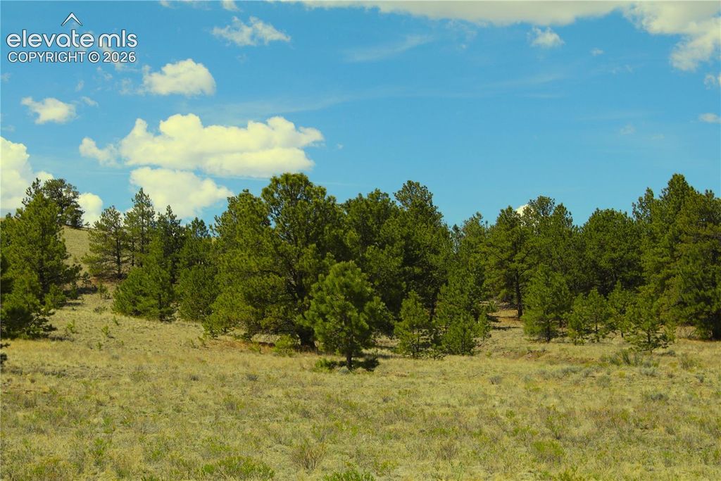 60 Hill Road, Hartsel, CO 80449 — photo 2