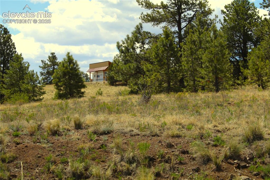 60 Hill Road, Hartsel, CO 80449 — photo 3