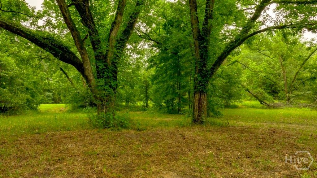 Image 14 of property listing at Address unavailable.