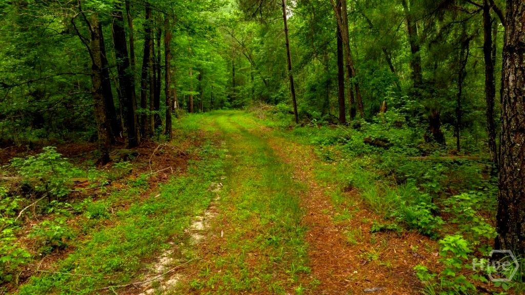 Image 15 of property listing at Address unavailable.