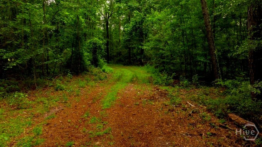 Image 16 of property listing at Address unavailable.