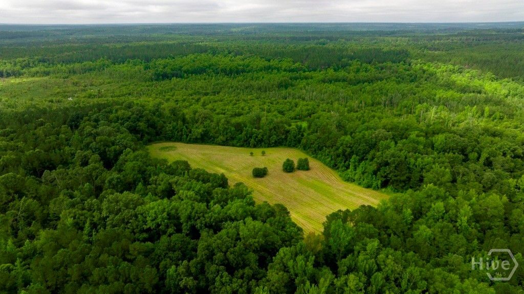 Image 17 of property listing at Address unavailable.