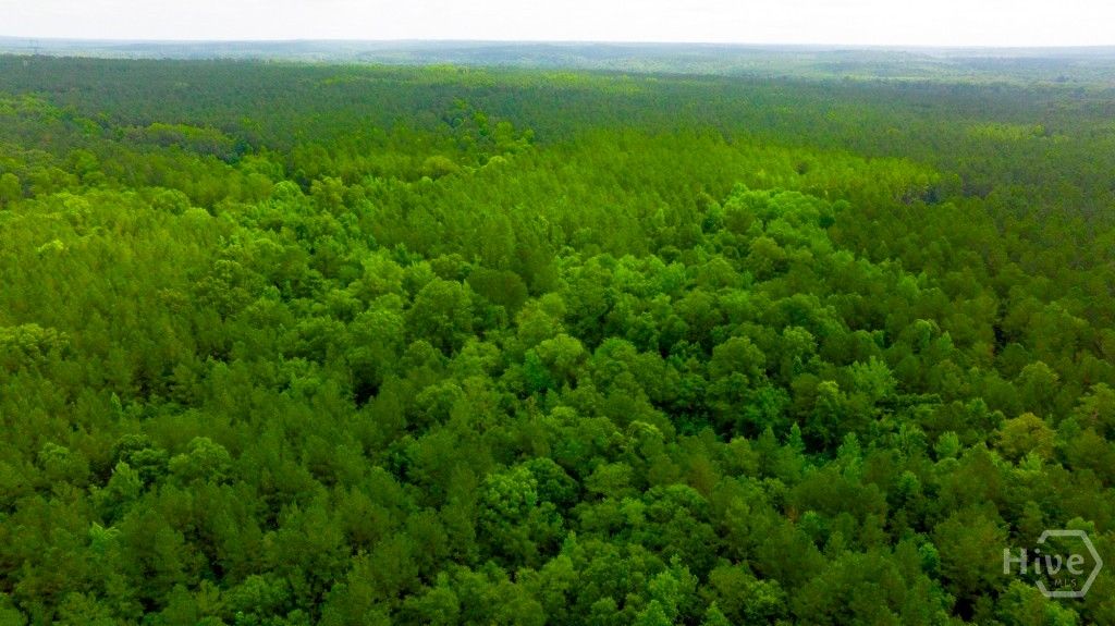 Image 21 of property listing at Address unavailable.