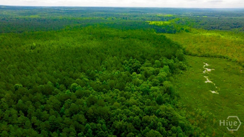 Image 22 of property listing at Address unavailable.