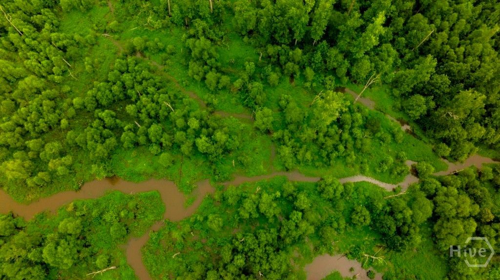 Image 26 of property listing at Address unavailable.