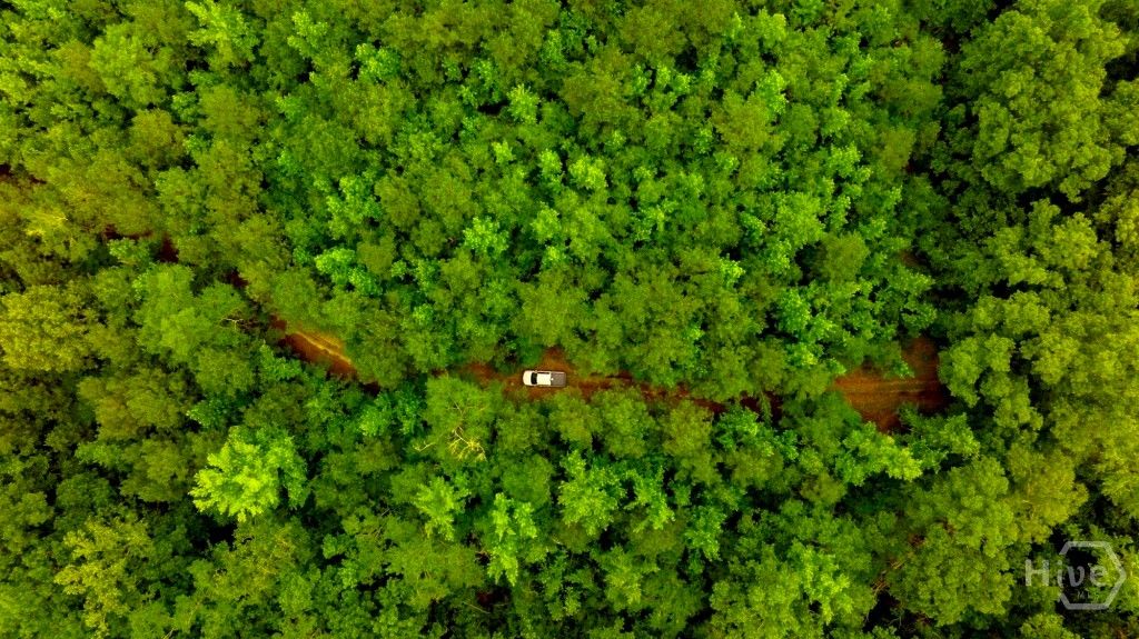 Image 29 of property listing at Address unavailable.