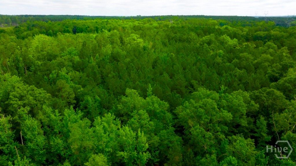 Image 31 of property listing at Address unavailable.