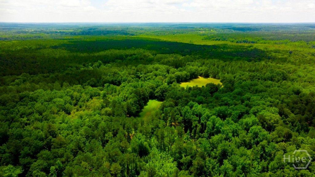 Image 7 of property listing at Address unavailable.