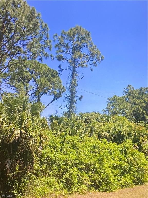 931 Sentinela BLVD, Lehigh Acres, FL 33974